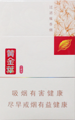 黄金叶(小黄金)